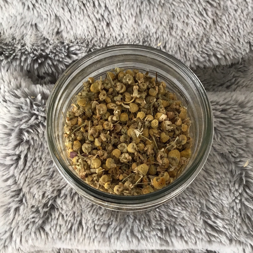Organic Chamomile