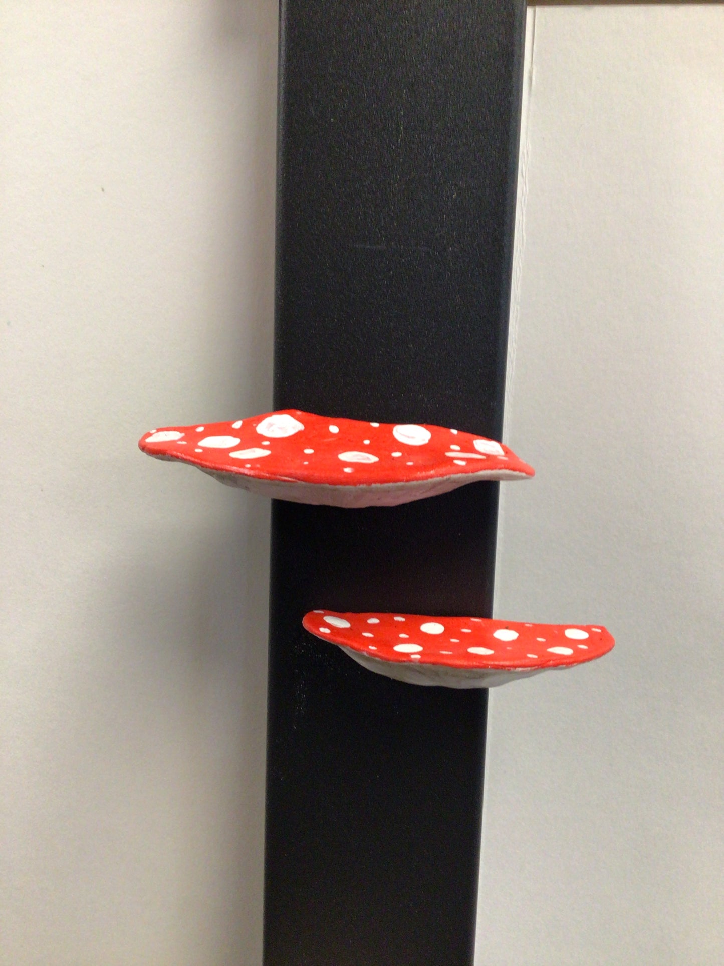 Mushroom Fridge Magnet Set