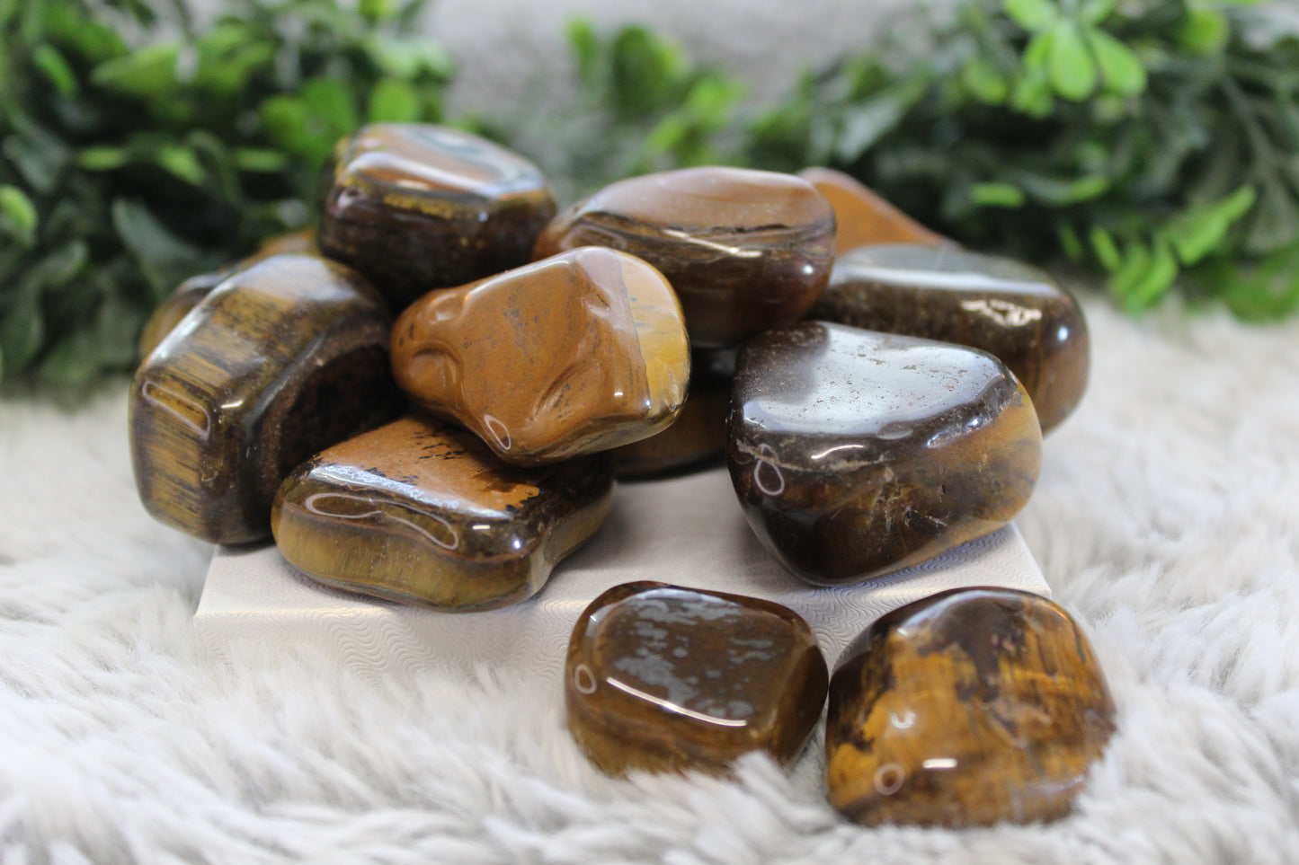 Tigers eye