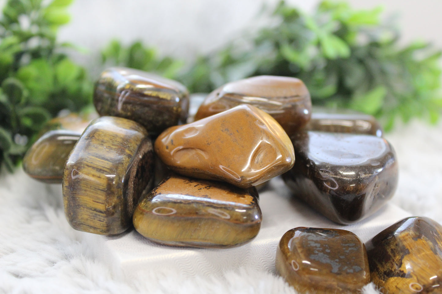 Tigers eye