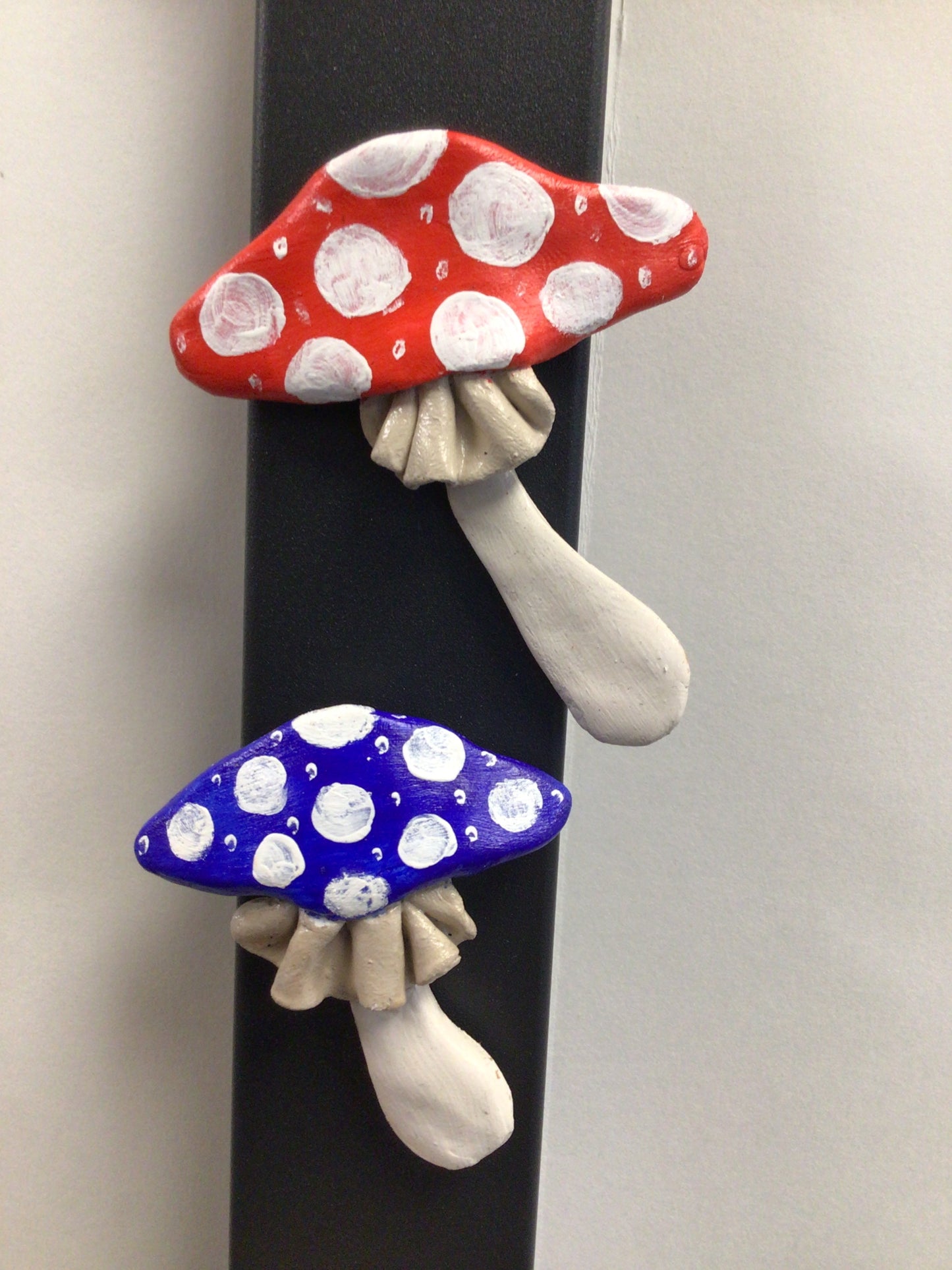 Mushroom Fridge Magnets