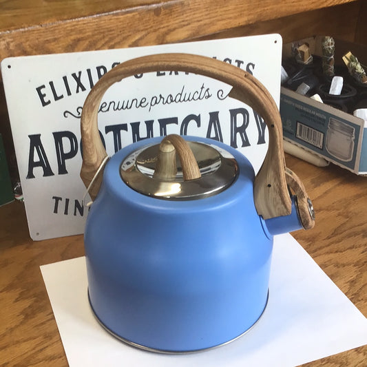 Blue Stainless Steel Tea Kettle