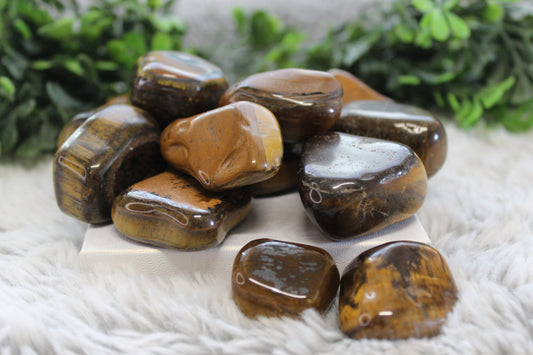 Tigers eye