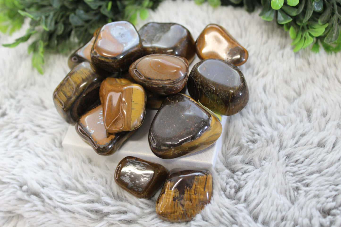 Tigers eye